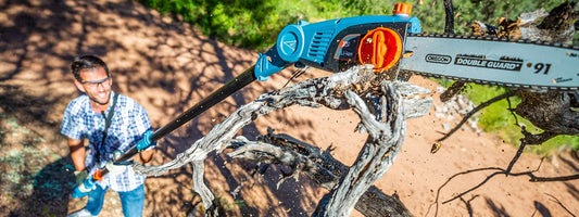 Man wearing safety glasses using a blue pole saw to cut dry tree branches outdoors