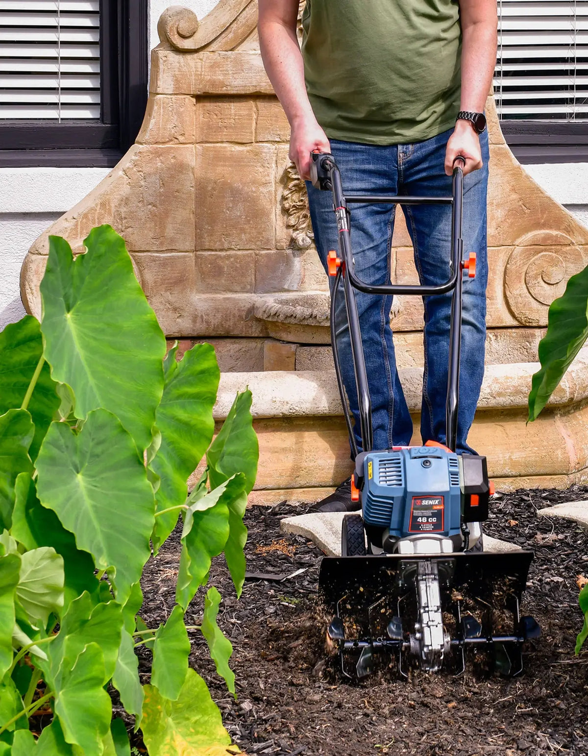 A fresh spring yard